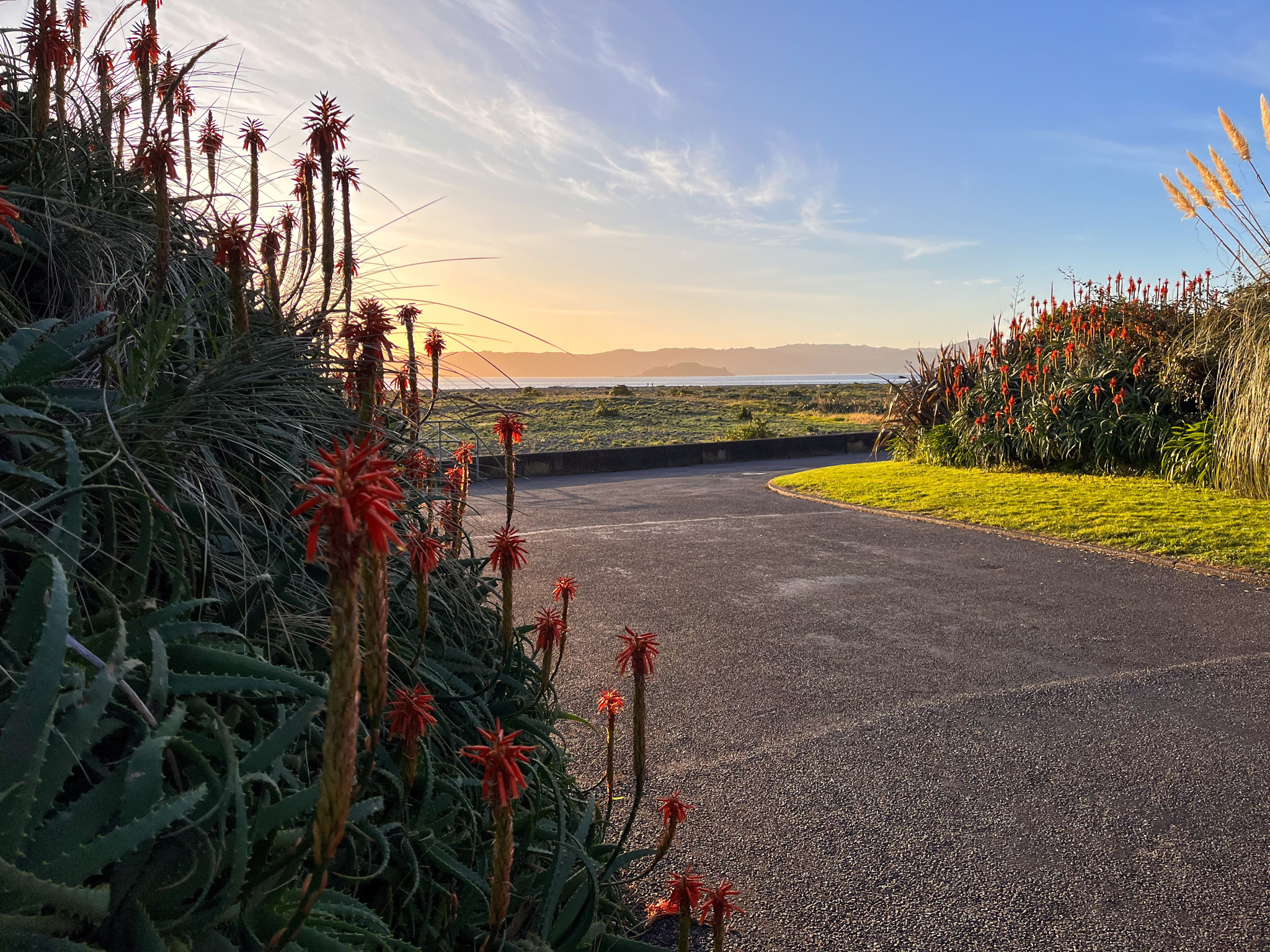 New Zealand